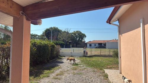 a dog walking in the yard of a house at Maison de l amour in Port-de-Lanne