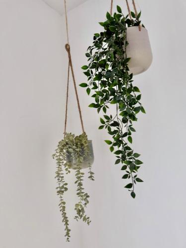 a potted plant hanging on a wall at Modernes Apartment im Süden Leipzigs in Leipzig