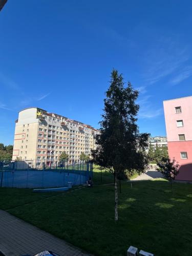 a tree in a park in front of a building at F&H Apartment Letňany in Prague