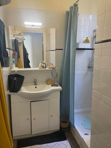 Central, beautiful, spacious and elegant apartment near Nation, Bastille and La Coulée Verte