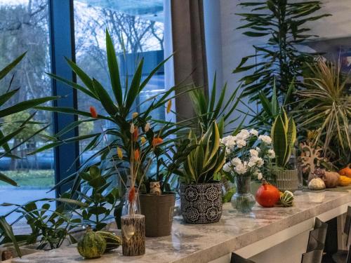 Zahrada ubytování ibis Styles Bialystok