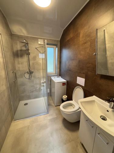 a bathroom with a shower and a toilet and a sink at Domki nad Krzyworzeką in Dobczyce