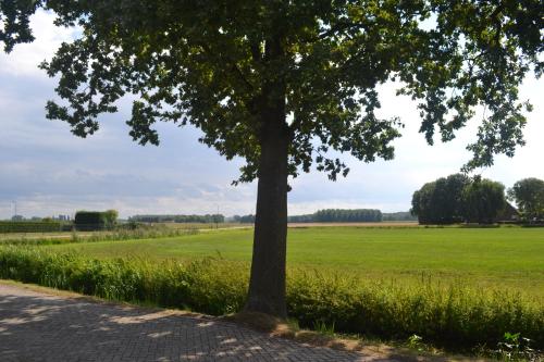 Paesaggio naturale nelle vicinanze della casa vacanze