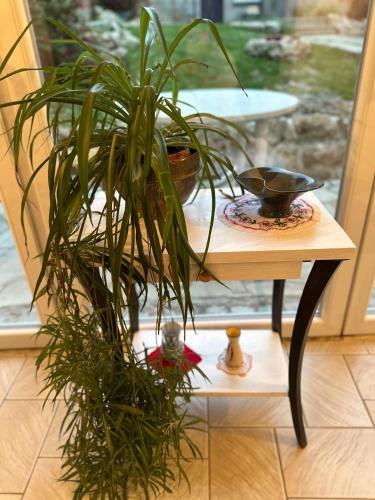 a potted plant sitting on a table next to a window at Les Vignes - Villa à 1 mn de Metz in Plappeville