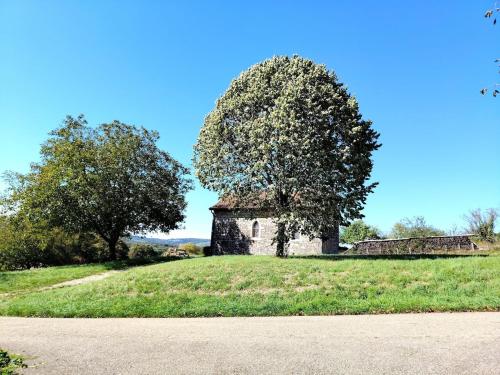 an old house in a field with a tree at Le Cocon de l'Ain in Neuville-sur-Ain