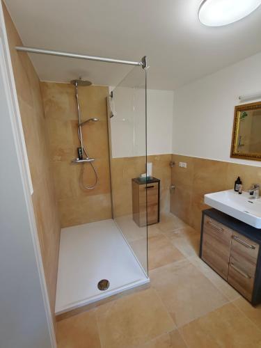 a bathroom with a shower and a sink at Chalet am Bärenpfad in Neuschönau
