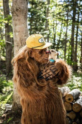 a person dressed as a bear holding a dog at Sunken Escapes Cabin 7 in New Minas