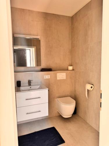 a bathroom with a toilet and a sink and a mirror at Heni Apartments in Gau-Algesheim