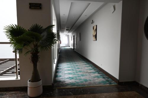 a hallway with a plant in the middle of a building at فندق امان أبها - المحالة in Abha