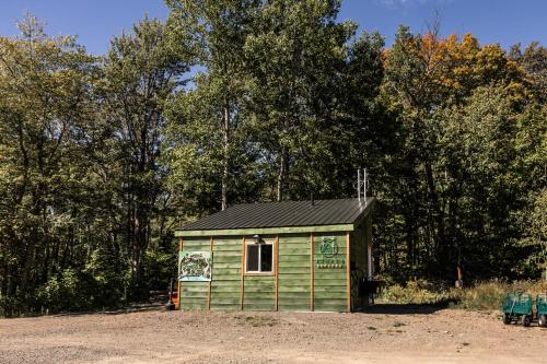 a green shed with graffiti on it in front of trees at Sunken Escapes Cabin 9 in New Minas