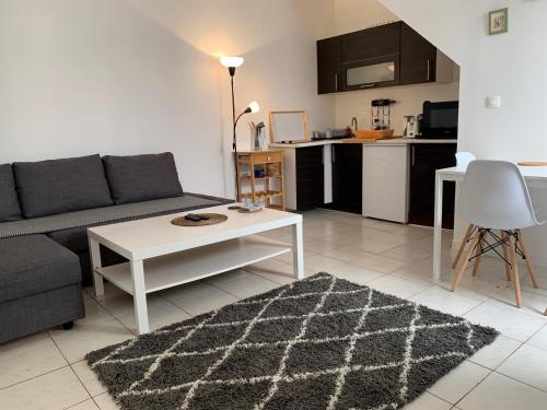 a living room with a couch and a table and a kitchen at Biarritz centre, près avenue de Verdun- Plage et casino à 10 mn à pied- 4 personnes -RDC in Biarritz