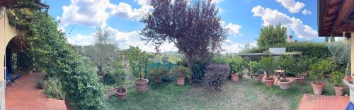 a garden filled with lots of potted plants at La Limonaia di Vanna in Impruneta