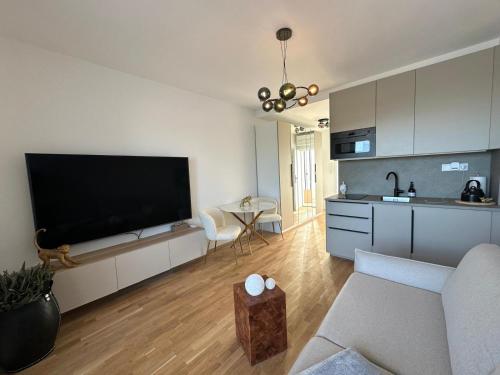a living room with a large flat screen tv at Greenview Lodge in Šajdíkove Humence