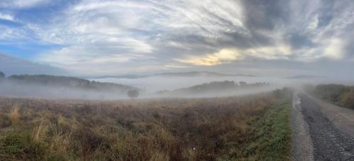 a foggy field with a dirt road in the distance at La Limonaia di Vanna in Impruneta