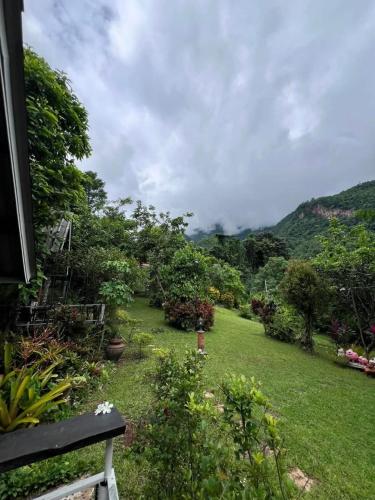 a view of a garden with a bench and trees at สวนบนคอทเทจ เชียงดาว in Ban Tham