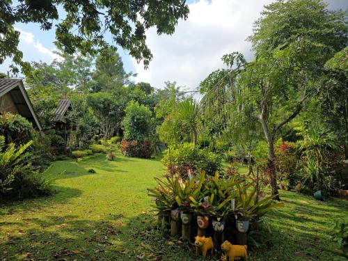 a garden with a bunch of plants in a yard at สวนบนคอทเทจ เชียงดาว in Ban Tham