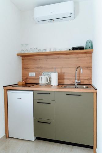 Η κουζίνα ή μικρή κουζίνα στο Guesthouse Papac Apartments