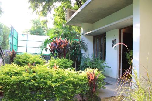 Zahrada ubytování PV Home - Auro Beach