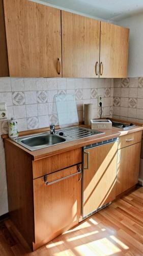 a kitchen with wooden cabinets and a sink at Alte Bleiche Lengefeld in Lengefeld