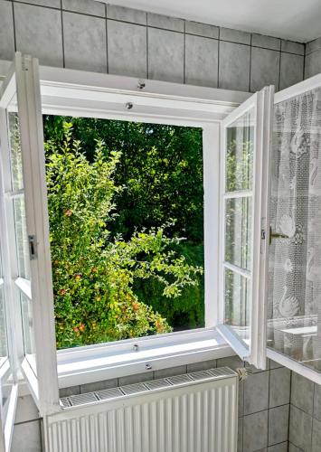 an open window in a room with a bush at Alte Bleiche Lengefeld in Lengefeld