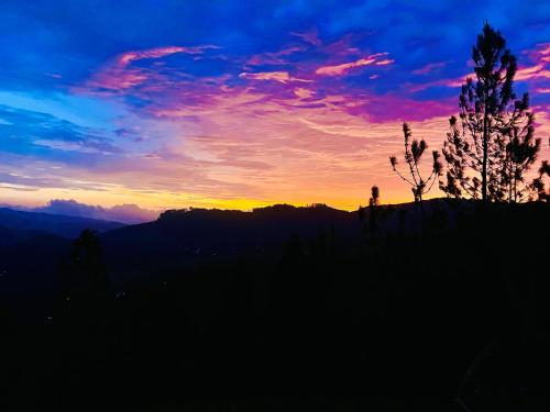 a sunset with a silhouette of a tree on a hill at Eco Cabana Bellwood in Nikawatawana