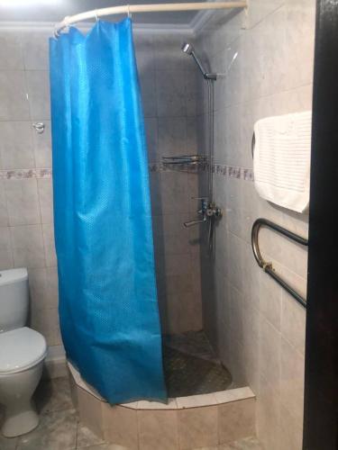 a shower with a blue shower curtain in a bathroom at Skif Hotel in Astana