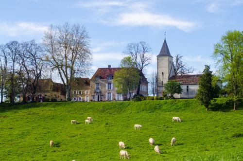 a herd of sheep grazing in a field in front of a castle at Château d’Orion in Orion