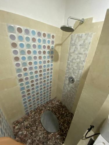 a bathroom with a shower with a toilet in it at AMED LILI Private Room in Amed