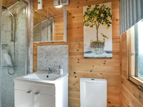 a bathroom with a sink and a toilet at Hare's Rest in Ellesmere