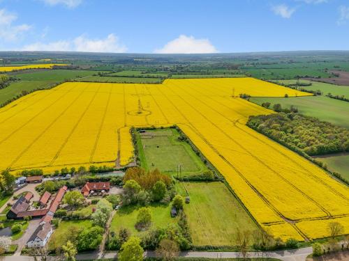 an aerial view of a large field of yellow flowers at Cedar - Uk49525 in Saint Lawrence