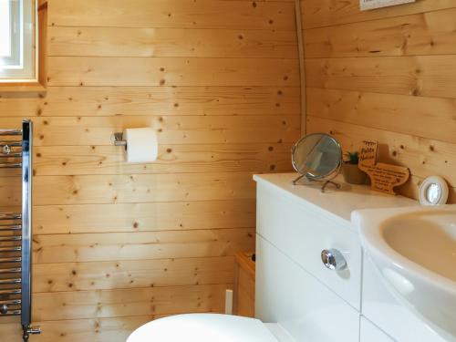 a bathroom with wooden walls and a toilet and a sink at Bryn Hafod - Uk49671 in Brynsiencyn