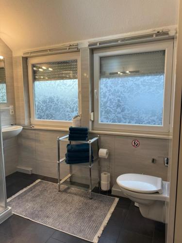 a bathroom with a toilet and a sink and a window at Haus Lena in Cloppenburg