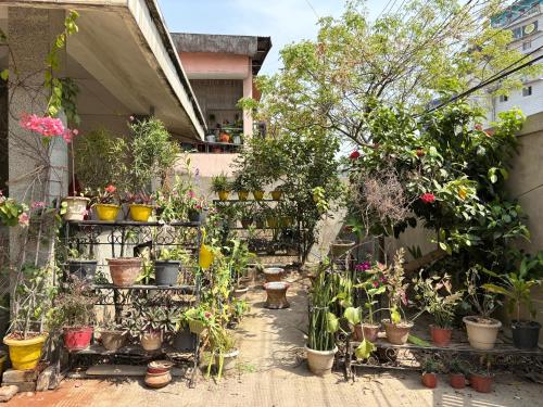 a bunch of potted plants in a garden at Zion Backpackers Hostel in Guwahati