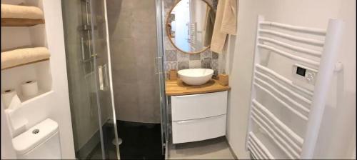 un bagno con doccia, lavandino e specchio di Le Plein Sud a Le Grau-du-Roi