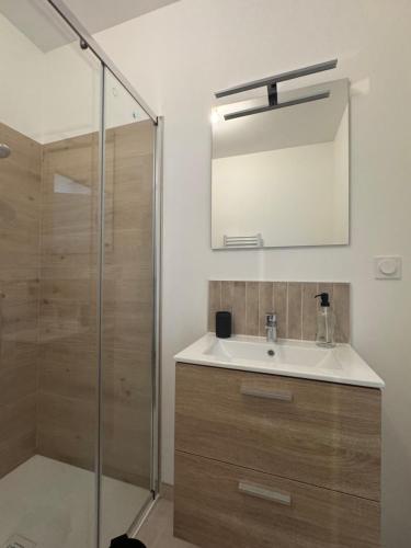 a bathroom with a sink and a shower with a mirror at Studio Voyage - Proche centre ville in Mayenne