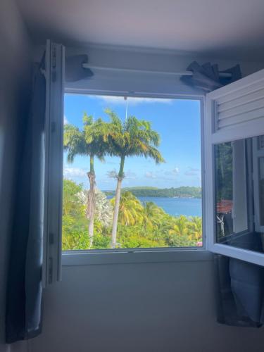 a window with a view of a palm tree at Chez Nous in Le Robert