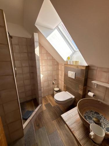 a bathroom with a toilet and a shower with a skylight at Ubytování Otín in Jindrichuv Hradec