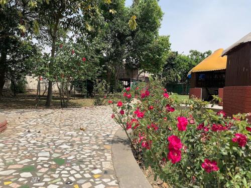 Zahrada ubytování GardenView Hotel and Resort