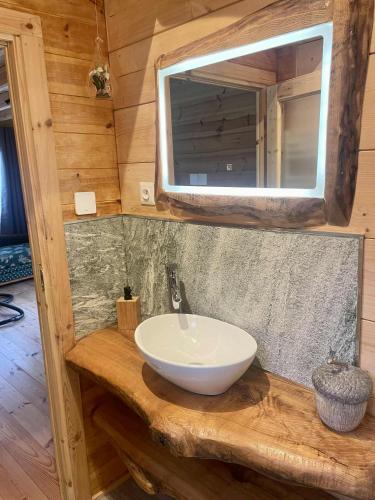 a bathroom with a white sink and a mirror at Chalet nature in Grandrupt