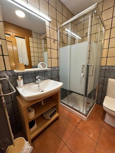 a bathroom with a sink and a shower at Apartamento Acogedor Pineta in Bielsa