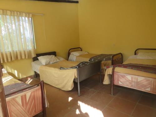 a room with three beds and a window at Franklin Hostel & Camping in Coroico