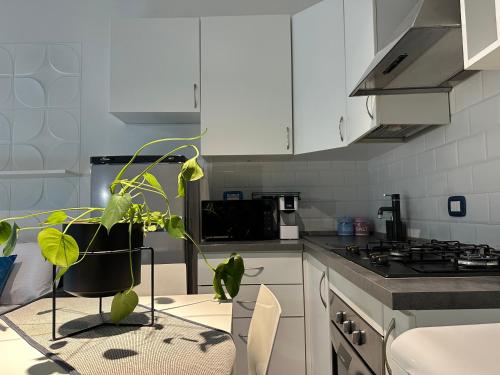 Algardi Prestige Apartment photo 18