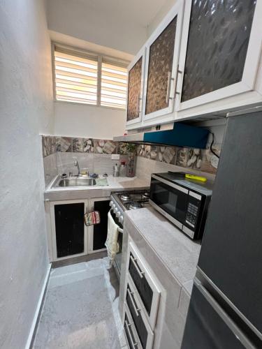 サンタ・バーバラ・デ・サマナにあるHABITACIONES CON VISTA a LA BAHIA LA FAMILIAのシンクと電子レンジ付きの小さなキッチン