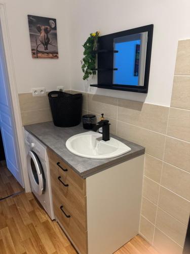 a bathroom with a sink and a washing machine at LES CERISIERS Mb4 - Mb5 - Mb6 in Damparis