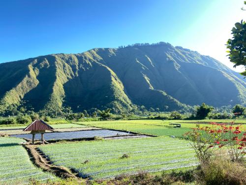 Gallery image of Pondok Arum Rinjani in Sembalun Lawang