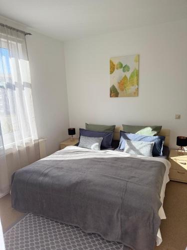 a bedroom with a large bed with blue pillows at Ferienwohnung Stein-16 zum Prinzenweg in Oberhof