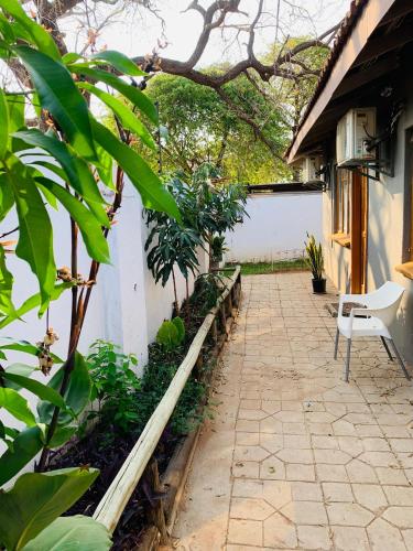 a patio of a house with plants and a chair at Plateau Guest House in Kasane