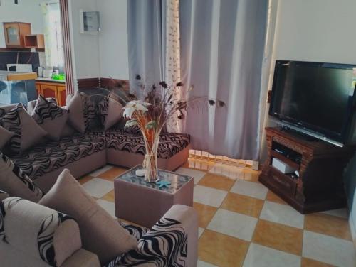 a living room with a couch and a television at Azure nest in Cap Malheureux