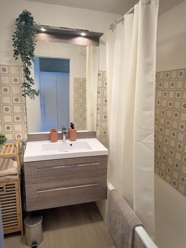 a bathroom with a sink and a shower curtain at Studio Saint-Rémy-de-Provence centre in Saint-Rémy-de-Provence