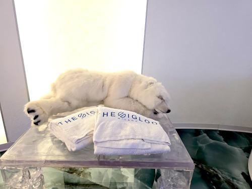 The Igloo Milano -Luxury Eclectic Suite - Jacuzzi - MilanoFlats